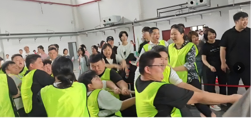 跨系组队展风采 师生同心创佳绩——电气工程系勇夺金年会平台（中国）ios/安卓版/手机app下载拔河比赛冠军